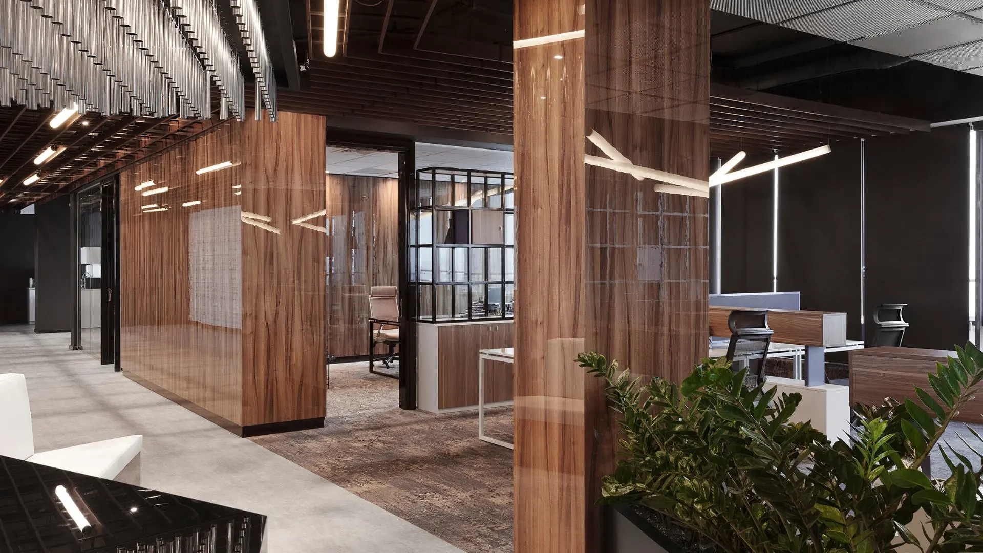 OFFICE_TRANSCAPITAL